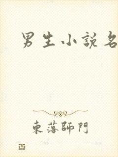 男生小说名字