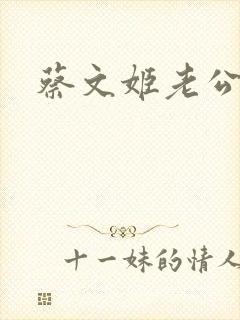 蔡文姬老公