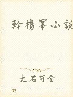 干杨幂小说