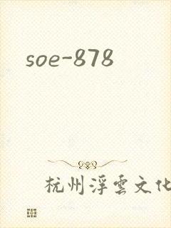 soe-878