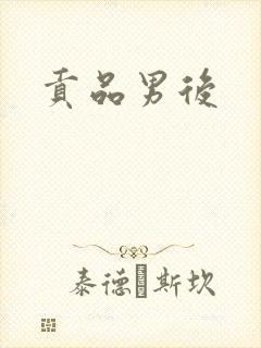 贡品男后