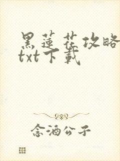 黑莲花攻略手册txt下载封面