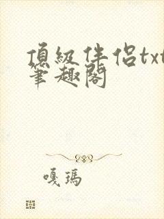 顶级伴侣txt笔趣阁封面