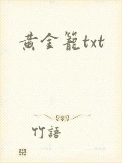 黄金笼txt