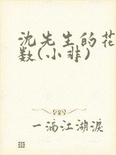 沈先生的花式调数(小非)