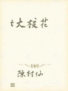 t大校花