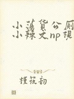 小荡货公厕h文小辣文np视频