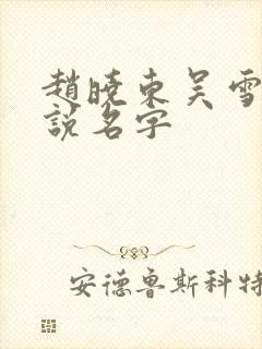 赵晓东吴雪晴小说名字