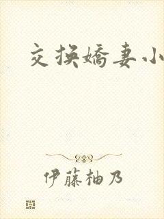 交换娇妻小说封面