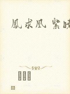 凤求凰 紫晓