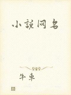 小说网名