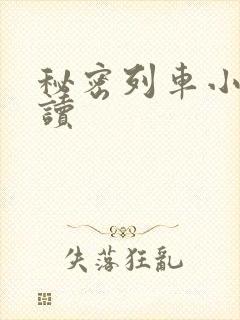 秘密列车小说阅读封面