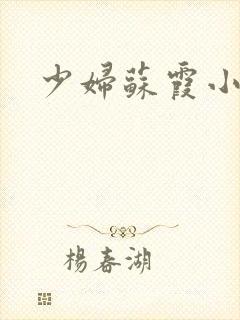 少妇苏霞小说
