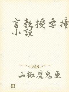 言教授要撞坏了小说
