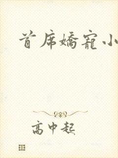 首席娇宠小情人封面