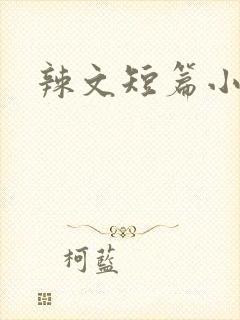 辣文短篇小说