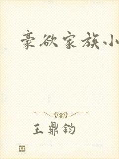 豪欲家族小说