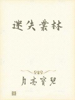 迷失丛林