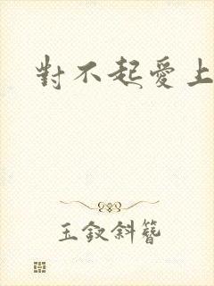 对不起爱上你
