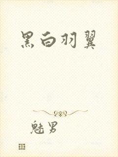 黑白羽翼