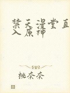 禁天漫堂直接进入原神封面