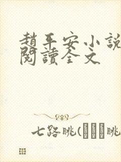 赵平安小说免费阅读全文