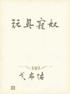 玩具宠奴封面