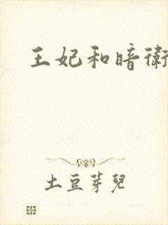 王妃和暗卫野H