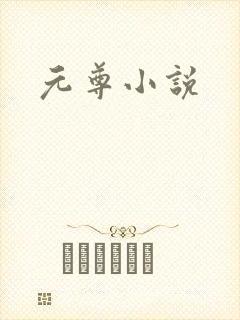 元尊小说封面