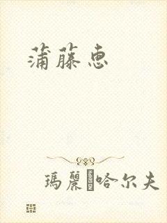 蒲藤惠封面