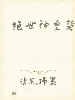 绝世神皇楚风封面