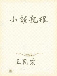 小说龙根