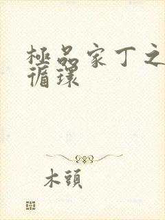 极品家丁之因果循环