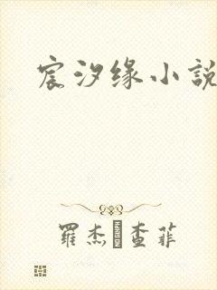 宸汐缘小说