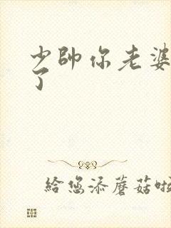少帅你老婆又跑了