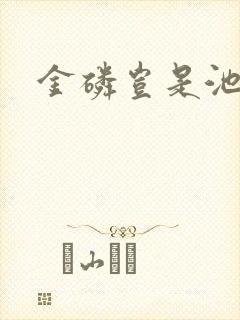 金磷岂是池中物封面