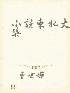 小说东北大炕全集