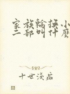 家族轮换小说第二部叫什么名字