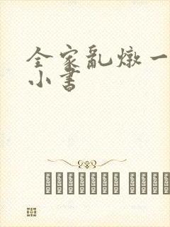 全家乱炖一锅烩小书