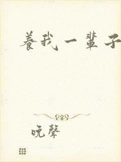 养我一辈子封面