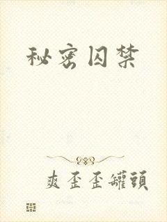 秘密囚禁封面