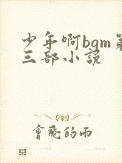 少年啊bgm第三部小说封面