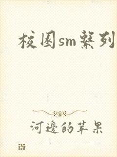 校园sm系列h