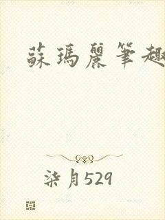 苏玛丽笔趣阁