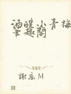 酒酿小青梅po笔趣阁