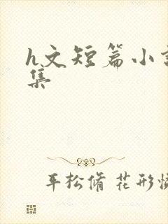 h文短篇小说合集