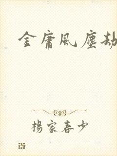 金庸风尘劫封面