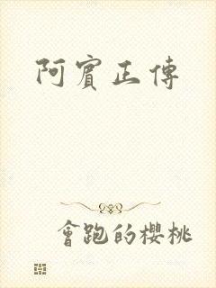 阿宾正传