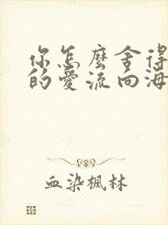 你怎么舍得让我的爱流向海