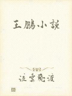 王鹏小说